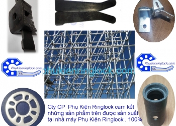 Tổng thể phụ kiện ringlock